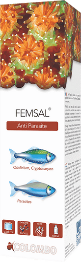 COLOMBO FEMSAL